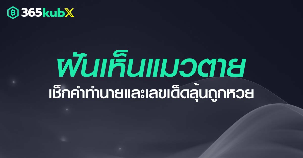 ฝันเห็นแมวตาย